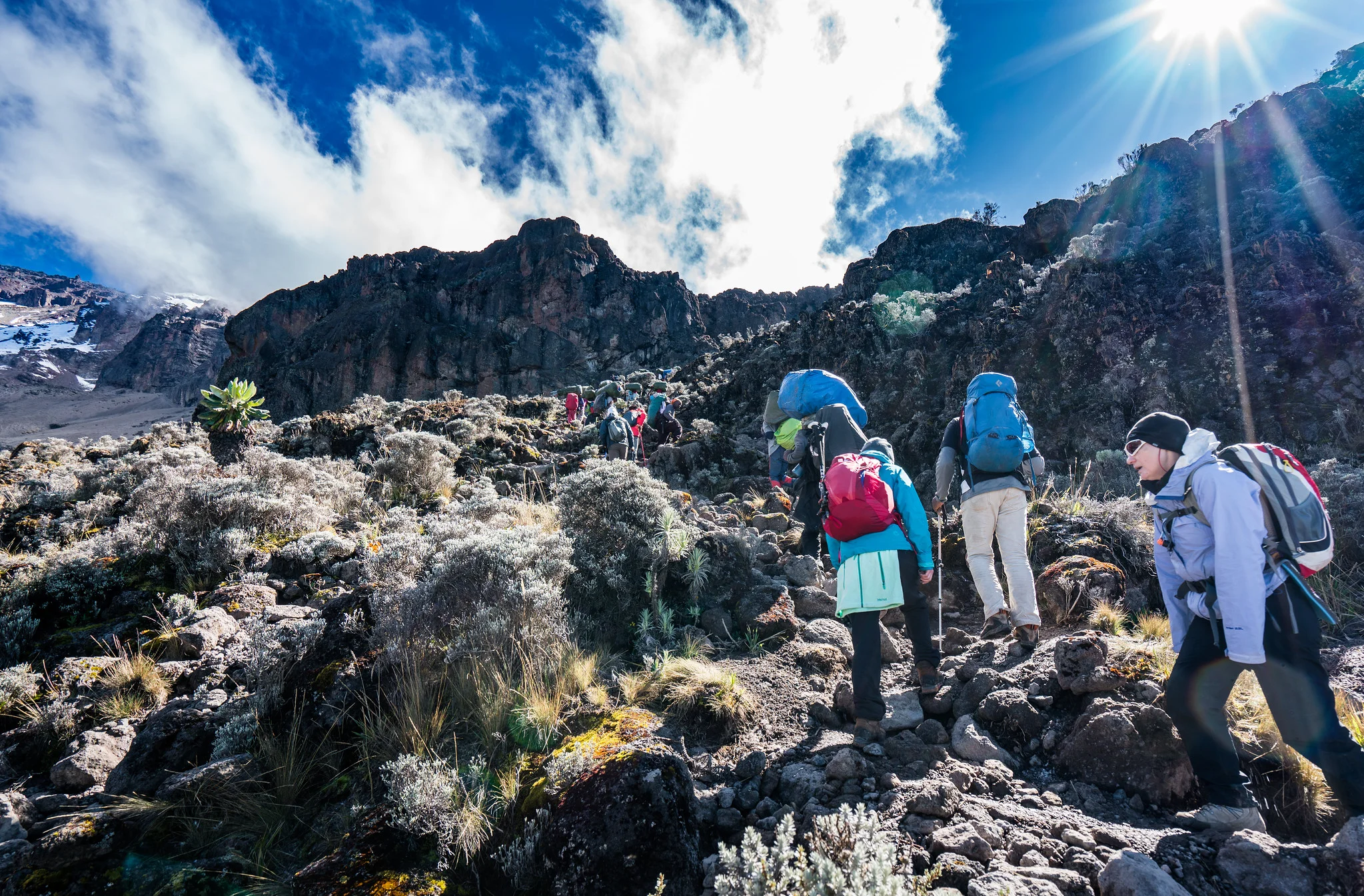 7 Days Machame Route